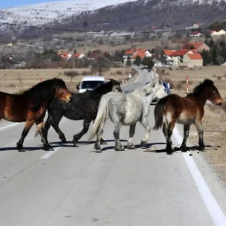 Kupres, Centar, Daire Kupres (Canton 10)