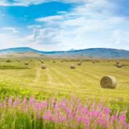 Kupres, Centar, Daire *