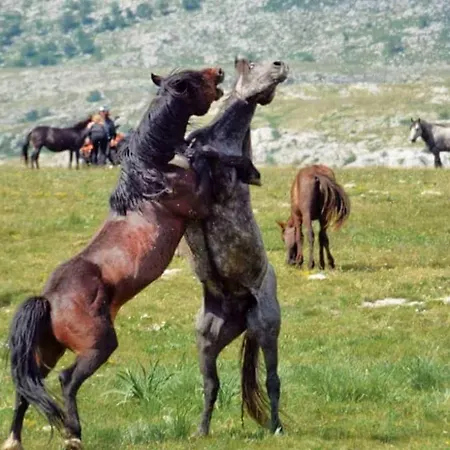 Kupres, Centar, Kupres (Canton 10)